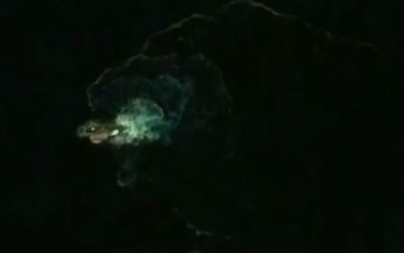 WATCH: 120-metre 'sea monster' spotted on Google Earth - ARY NEWS