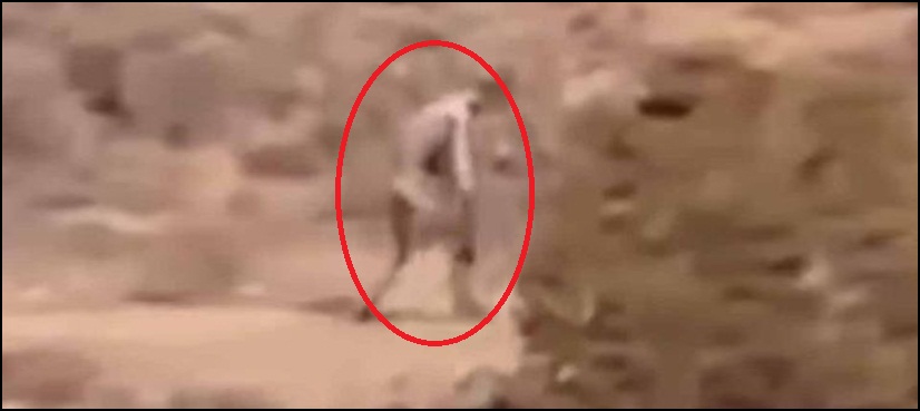 WATCH: Strange man-like creature spotted in Portugal - ARY NEWS