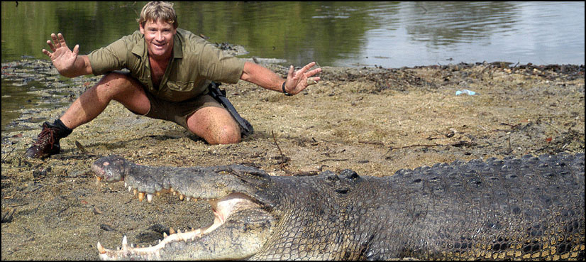 'Crocodile Hunter' commemorated decade after death - ARY NEWS