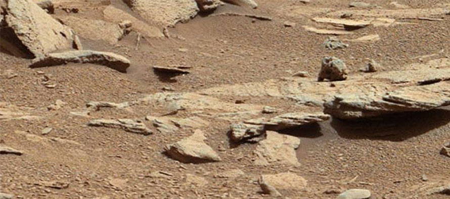 VIRAL: UFO hunters find a groundhog, wall on Mars