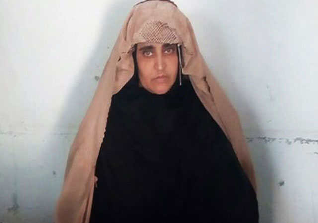 Fake Cnic Case Nat Geo Famed ‘afghan Girl Gets 15 Day Imprisonment Ary News 