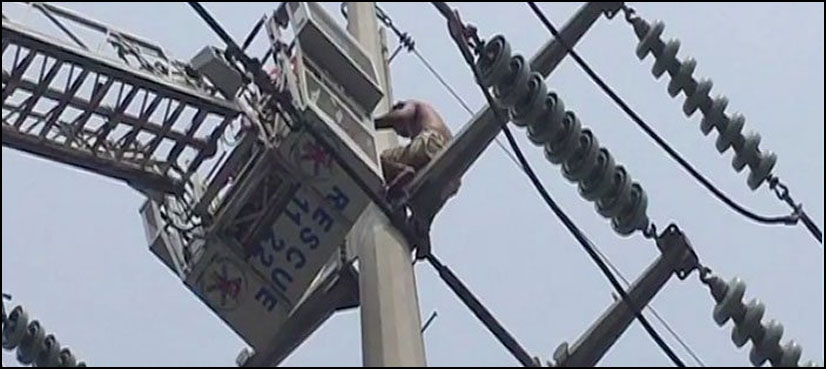 Man electric pole