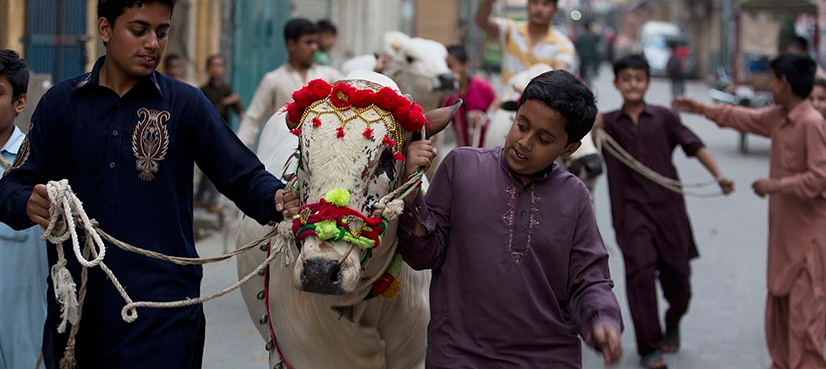 Sindh govt announces four-day holidays for Eid-ul-Adha