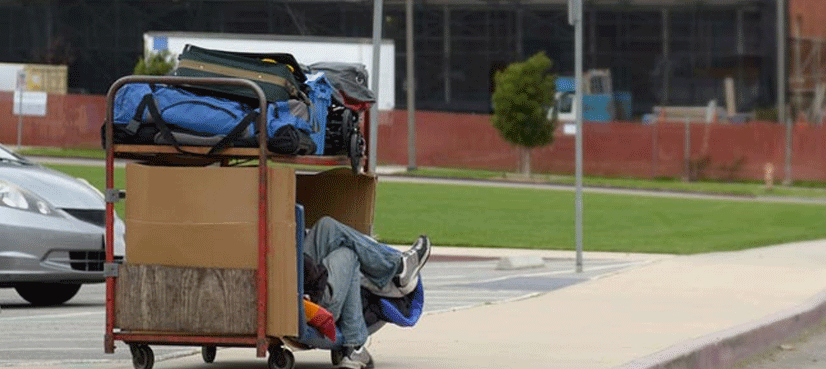 Thief Hides In Suitcase Robs Passengers Bus Baggage