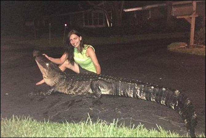 This 22 Year Old Girl Treats ‘dangerous Alligators Like Humans