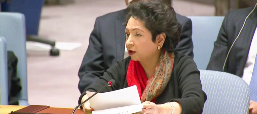 Maleeha Lodhi