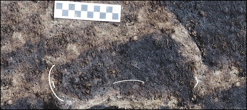 Oldest Human Footprints Discovered In North America