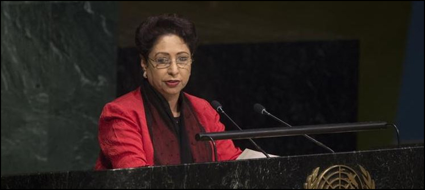 Maleeha Lodhi