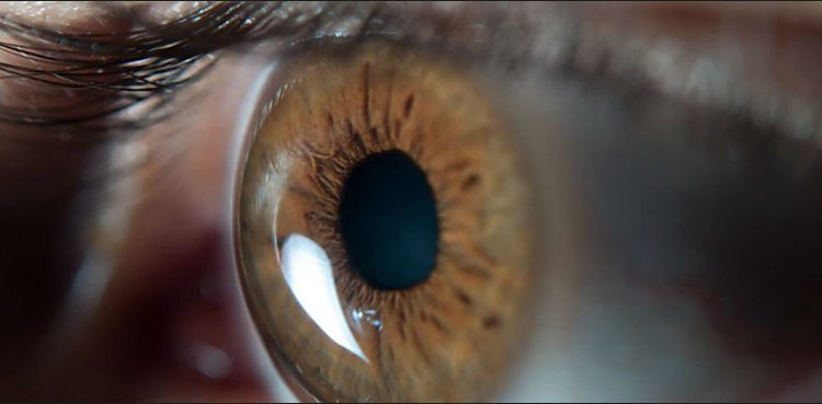 Stem cell eye treatment safe, restores some vision: study