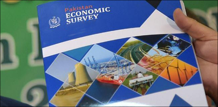 Economic survey, Pakistan