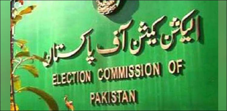 ECP winning candidates