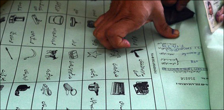 ECP elections vote turnout