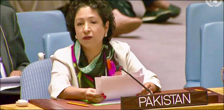 Maleeha Lodhi picked to organise UNGA convention