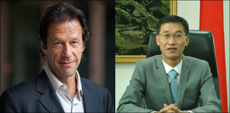 China supports PTI vision of reforming administrative structure: envoy