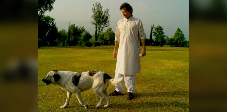 Imran Khan pet dogs