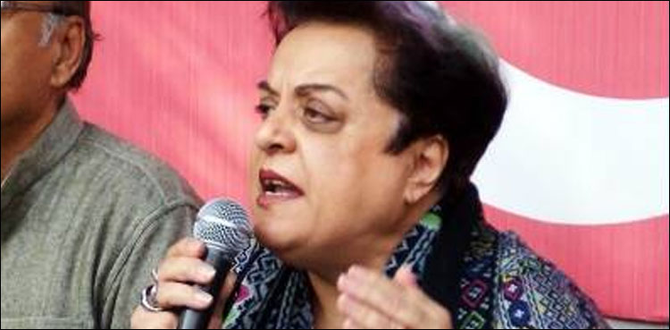 Dr Shireen Mazari