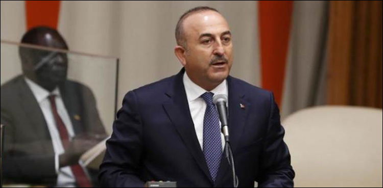 Turkish FM