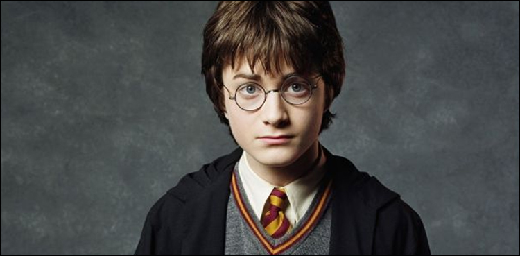 Daniel Radcliffe Reacted To Harry Potter Memes And It's The Only