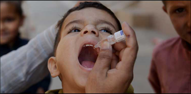 polio campaign, Punjab, January 21