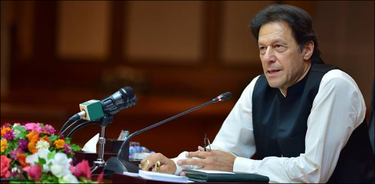 PM Imran Khan National Financial Inclusion Strategy