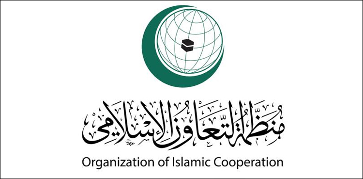 floods in pakistan oic assistance