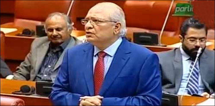 Senate Mushahidullah Khan