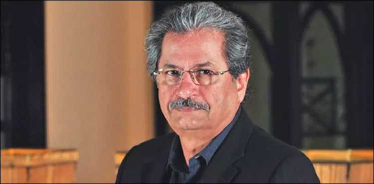Govt taking measures to cope with coronavirus: Shafqat Mahmood
