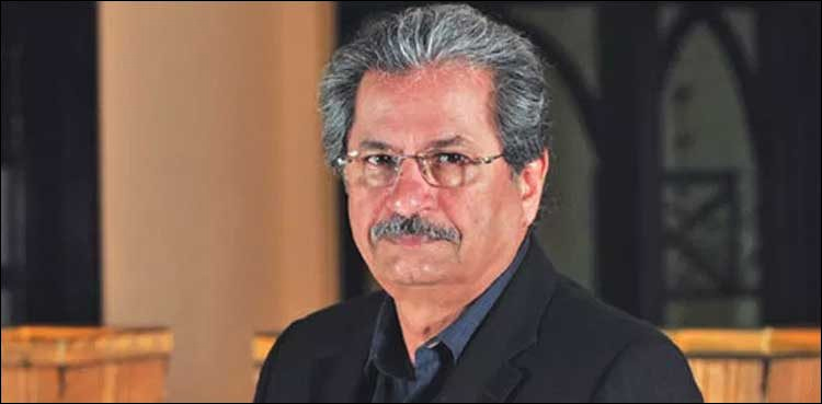 Innovation, education sector, development, Shafqat Mahmood