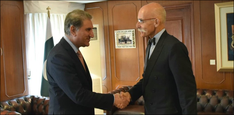 EU ambassador FM Shah Mahmood Qureshi