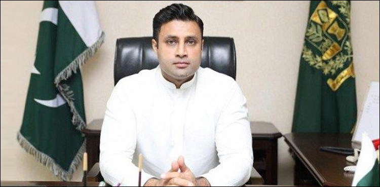 overseas pakistanis, Zulfikar Bukhari