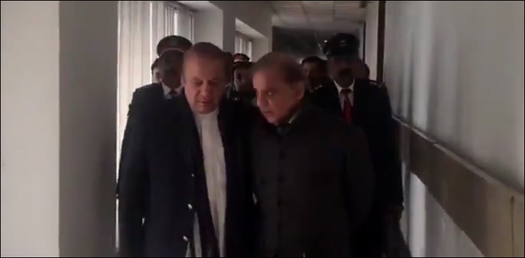 PM Shehbaz Sharif, Nawaz Sharif