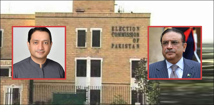 PTI Zardari ECP