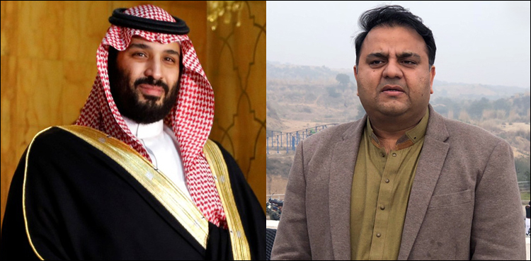 Fawad Chaudhry Crown Prince