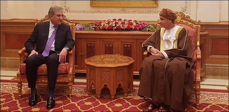 Qureshi, Oman’s Deputy PM agree to enhance bilateral trade