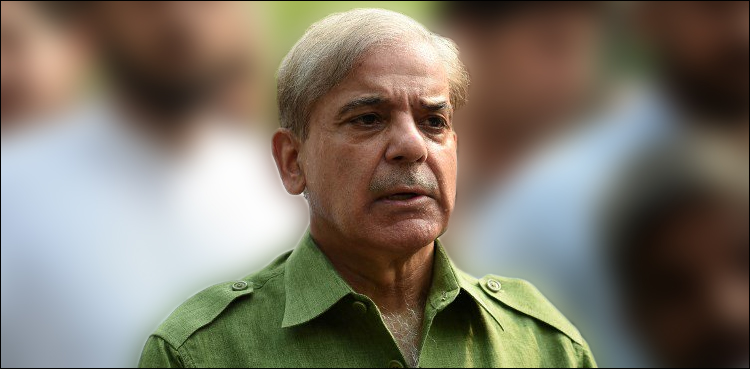 Shehbaz Sharif, Ashiana housing scheme