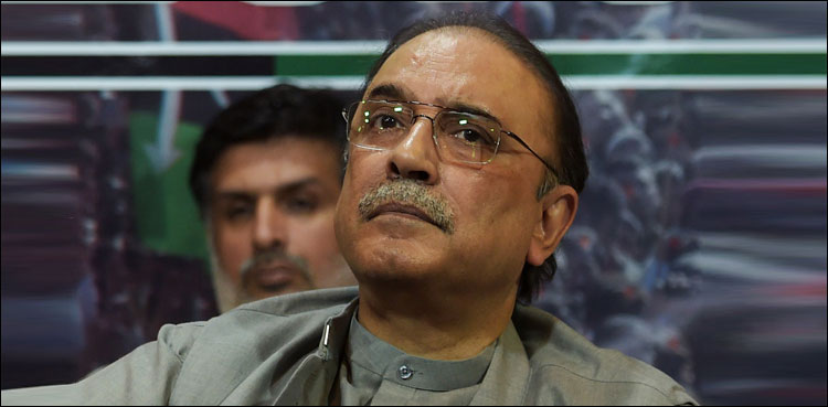 Asif Ali Zardari PTI disqualification