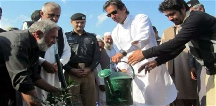 PM, Imran Khan, 10 bn tree plantation drive, Nankana ,