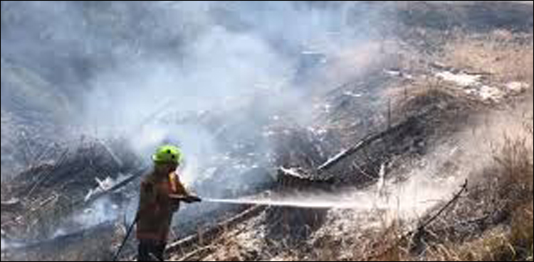 new zealand,wildfire, flee