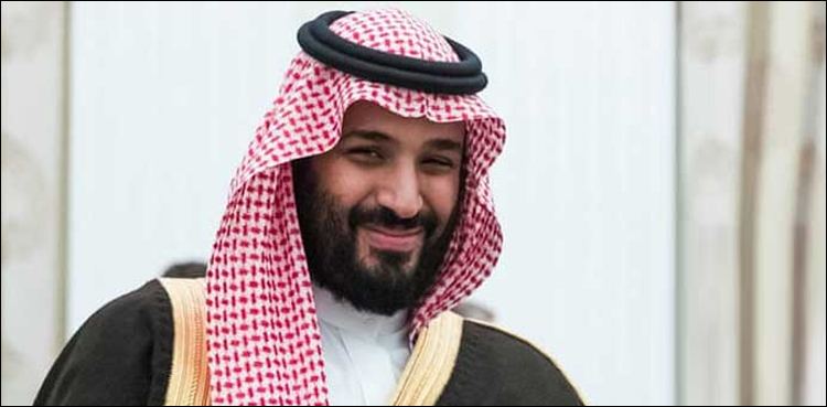 crown prince, saudi private sector, sustainable growth