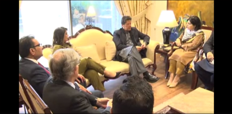 Baroness, Warsi, regional situation, PM, Imran Khan