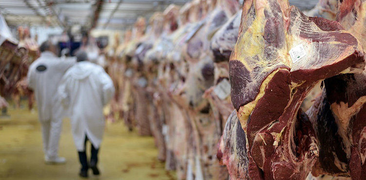 charsaddah dead animal meat supplying
