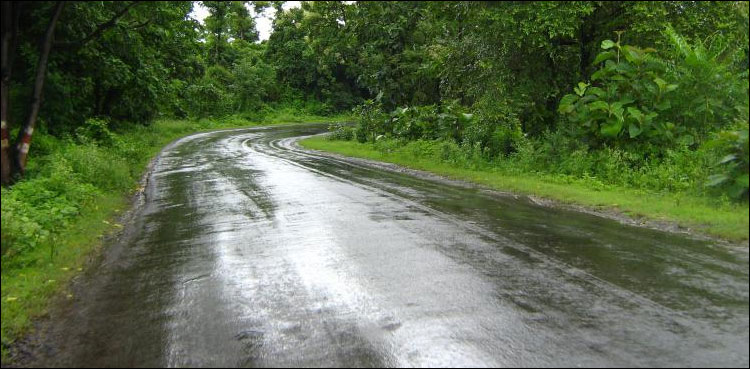 Widespread rain, thunderstorm, expected, Pakistan