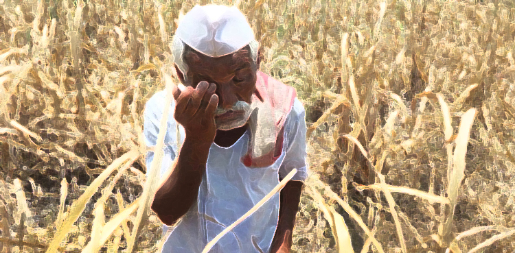 India Modi farmer