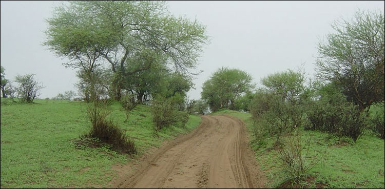 katcha area, police operation