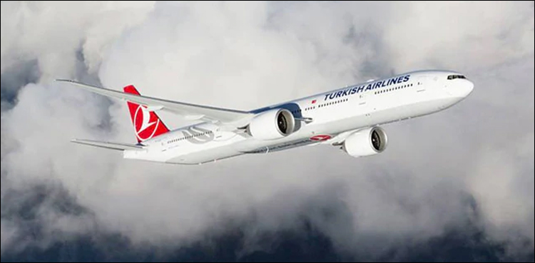 Thirty injured as turbulence hits Turkish Airlines flight to New York