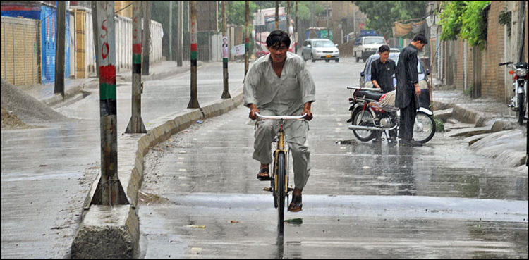 Rainfall, forecast