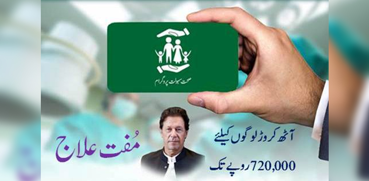 Syed Saeed-ul-Hassan Shah, Disabled persons, Sehat Insaf Cards, Punjab