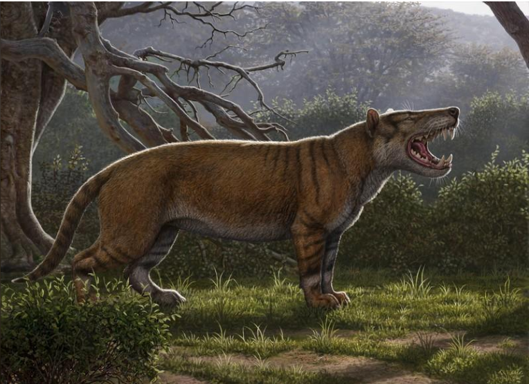 Fossils of prehistoric beast shed light on largest-ever 