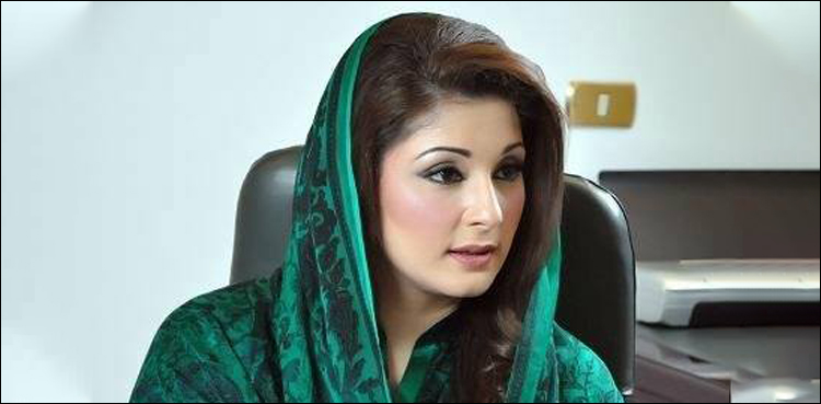 Maryam Nawaz, money laundering, bail