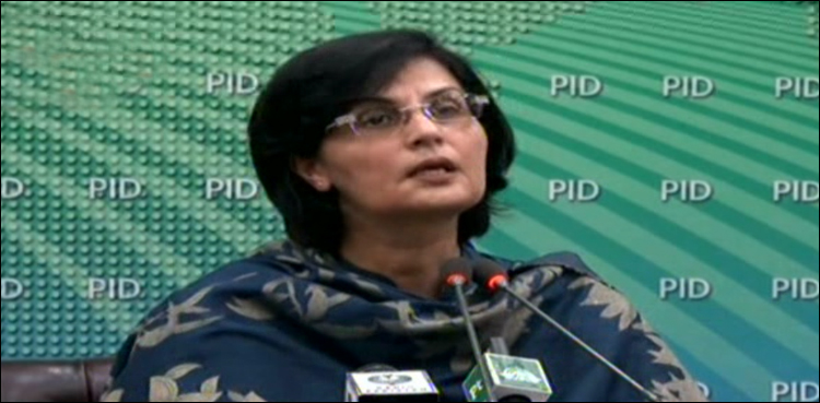 Ehsaas program, Sania Nishtar